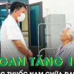 Men gan tăng gấp 10 lần sau thời gian dài tự uống thuốc nam chữa đau bụng