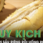 Người phụ nữ nguy kịch sau khi ăn sầu riêng rồi uống rượu trắng trong tiệc