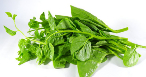 Y Học Cổ Truyền