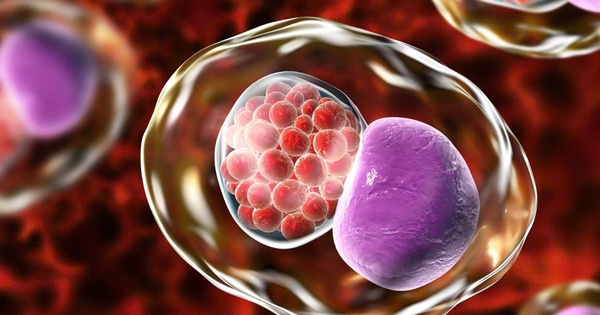 5 dấu hiệu cảnh báo nhiễm Chlamydia ở phụ nữ: Nhận biết sớm để phòng ngừa vô sinh