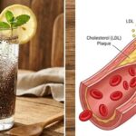 Cách uống nước hạt chia có thể giúp giảm cholesterol và hỗ trợ tim mạch