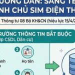 Người dùng sẽ gặp rắc rối nào khi không xác nhận thuê bao chính chủ?