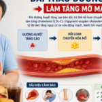 Điểm mới hướng dẫn điều trị tăng mỡ máu cho người đái tháo đường