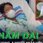 1 người tử vong, 5 người cấp cứu sau khi ăn canh nấm