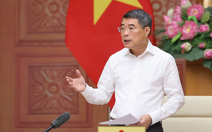 Thủ tướng: Cần hạn chế tối đa tâm lý găm giữ và đầu cơ vàng- Ảnh 5.