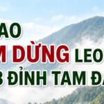 Vì sao tạm dừng leo núi tại 3 đỉnh ở Vườn quốc gia Tam Đảo?