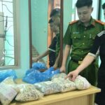 Sử dụng chất cấm sản xuất 2 tấn giá đỗ