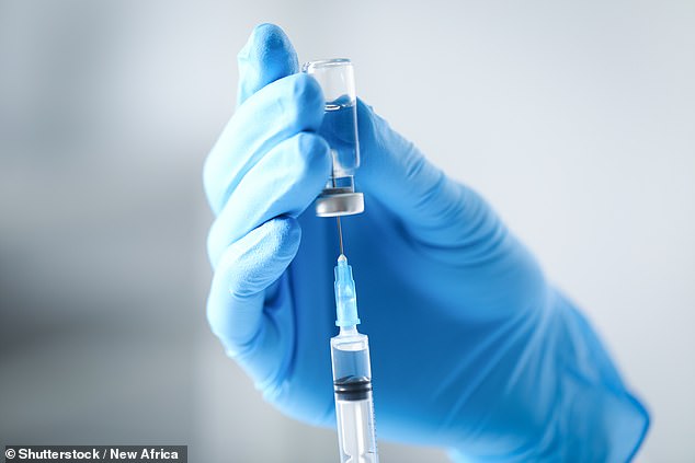 Thách thức trong cuộc đua phát triển vaccine phòng virus Hanta- Ảnh 1.