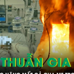 Căn nhà chìm trong biển lửa sau mâu thuẫn gia đình, bé 4 tuổi bỏng hơn 90% cơ thể