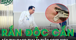 Bị rắn hổ mang cắn, sản phụ mang thai 38 tuần nguy kịch nhập viện khẩn
