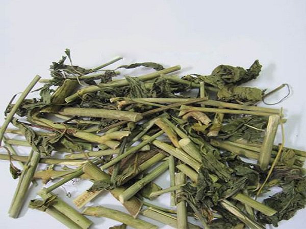 20211218033745319256tac-dung-cua-la-xuomax-1800x1800-1780650341736640447488 6 lợi ích sức khỏe của cây xương khỉ- Ảnh 2.