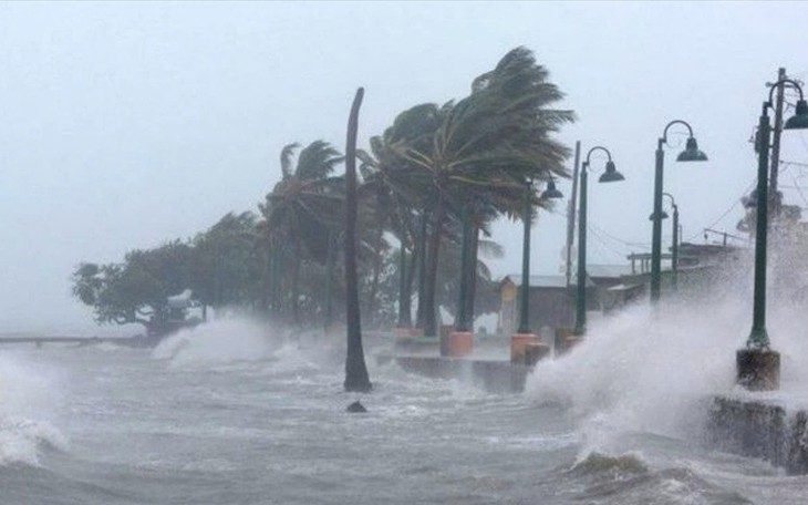 Bão Hagupit có vào Biển Đông những ngày tới?- Ảnh 2.