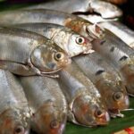 Cá mòi kho: Bí quyết nấu đậm đà, rục xương mà vẫn giữ trọn dinh dưỡng