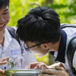 Vai trò của nước và vi chất trong phát triển thể chất trẻ ngày hè