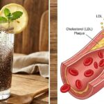 Cách uống nước hạt chia có thể giúp giảm cholesterol và hỗ trợ tim mạch