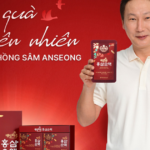 Trợ thủ đắc lực từ thiên nhiên giúp phụ nữ hiện đại xua tan mệt mỏi, bảo vệ sức khỏe gia đình