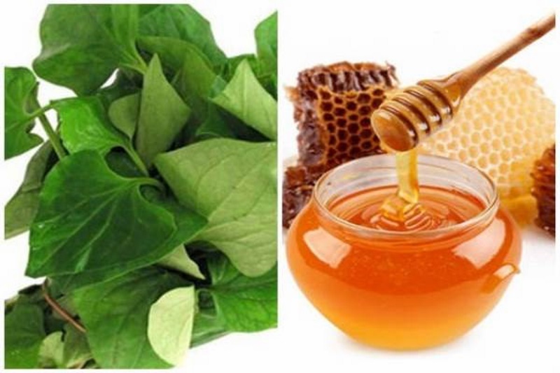 rau-diep-ca-177941764928642697306 5 cách làm mặt nạ rau diếp cá giúp trị mụn, giảm thâm, làm dịu da mùa hè- Ảnh 2.