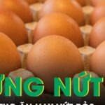 Có nên ăn trứng bị nứt vỏ không?