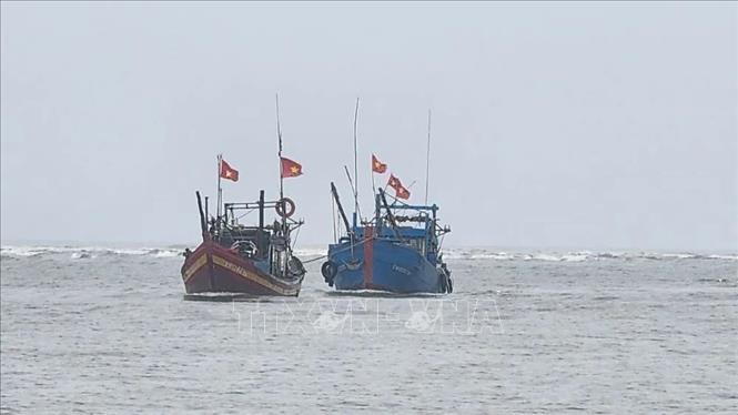 thanh-hoa2-170526-1779009177443-17790091777381649456860 Cứu hộ, trục vớt 2 tàu cá Thanh Hóa bị chìm do gió mạnh và sóng lớn- Ảnh 2.