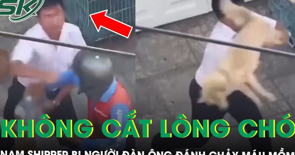 Từ chối cắt lông chó, nam shipper bị người đàn ông đánh chảy máu miệng ở TPHCM