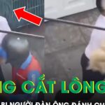 Từ chối cắt lông chó, nam shipper bị người đàn ông đánh chảy máu miệng ở TPHCM