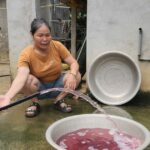 Kết quả xét nghiệm nước sinh hoạt đổi màu tím, hôi tanh bất thường tại Thanh Hóa
