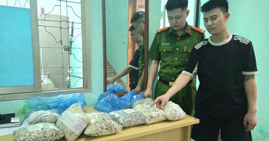 Sử dụng chất cấm sản xuất 2 tấn giá đỗ