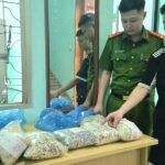Sử dụng chất cấm sản xuất 2 tấn giá đỗ