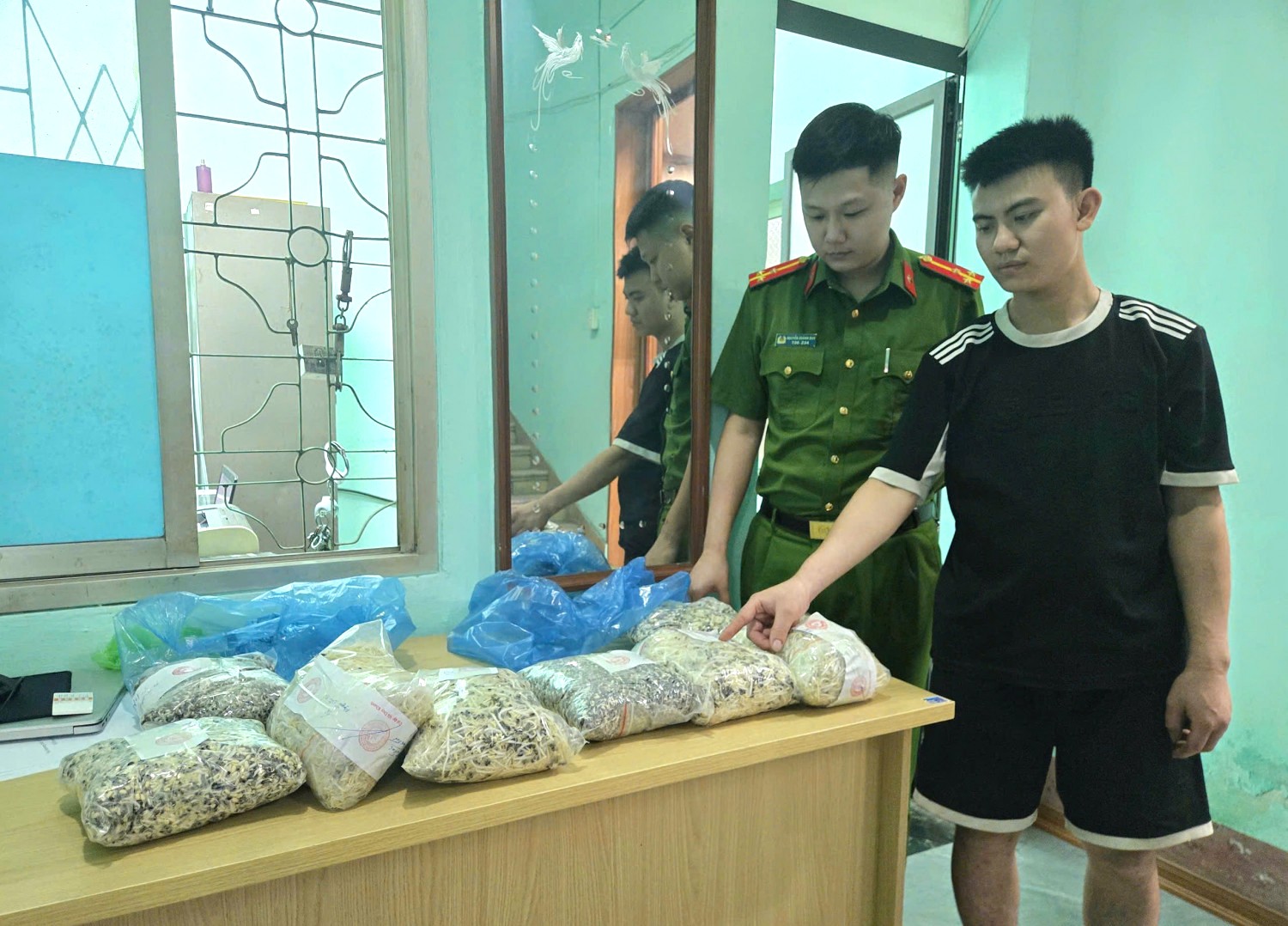 z77737603574517fd4b97419c21c5ff8a9c57042fe7312-17776927706311967405486 Sử dụng chất cấm sản xuất 2 tấn giá đỗ- Ảnh 2.