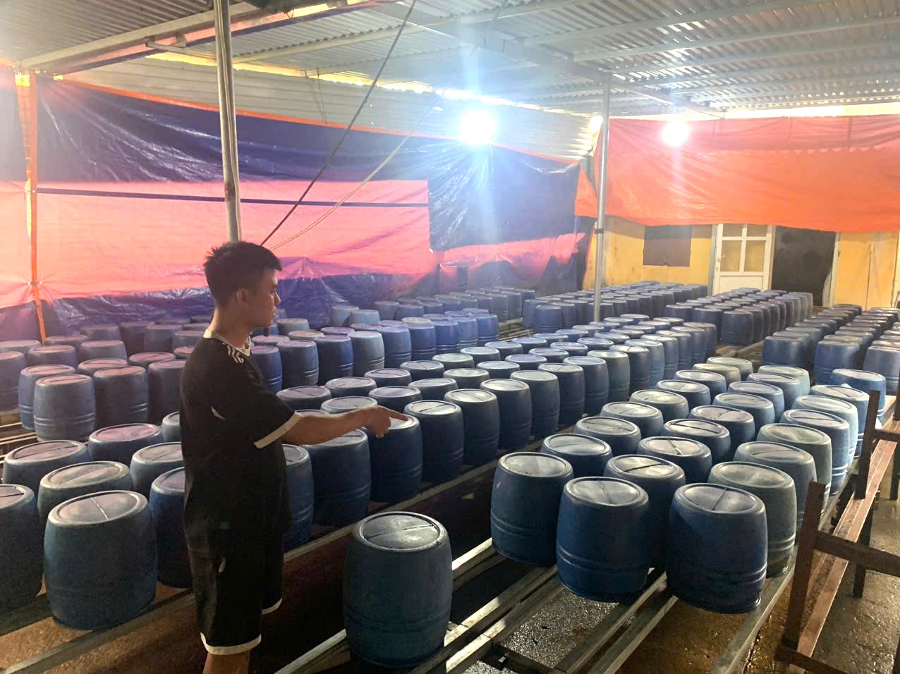 z7776624874738658ea6dfff2a9b8cc5a7bed70712f8e6-1777692803061999317246 Sử dụng chất cấm sản xuất 2 tấn giá đỗ- Ảnh 1.