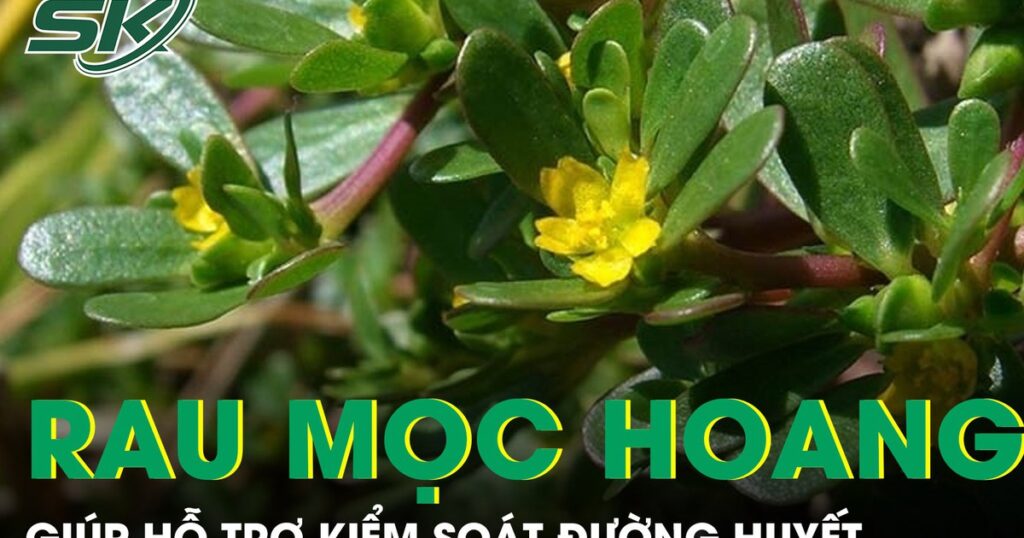 Loại rau mọc đầy bờ ruộng được ví như ‘kho báu’ giúp hỗ trợ kiểm soát đường huyết