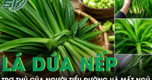 Loại lá rẻ tiền bán đầy chợ được ví như trợ thủ của người tiểu đường và mất ngủ