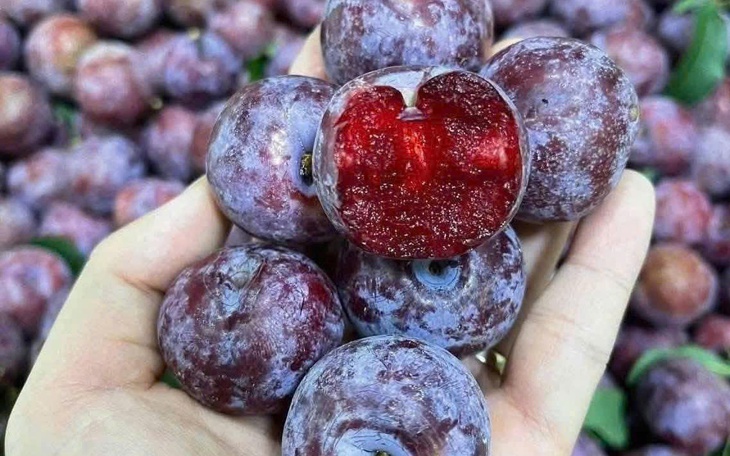 Nước ép mận: Thức uống thanh mát giàu chất chống oxy hóa cho mùa hè - Ảnh 2.