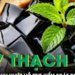 Loại cây làm thạch đen quen thuộc hóa ra là vị thuốc thanh nhiệt hỗ trợ kiểm soát đường huyết