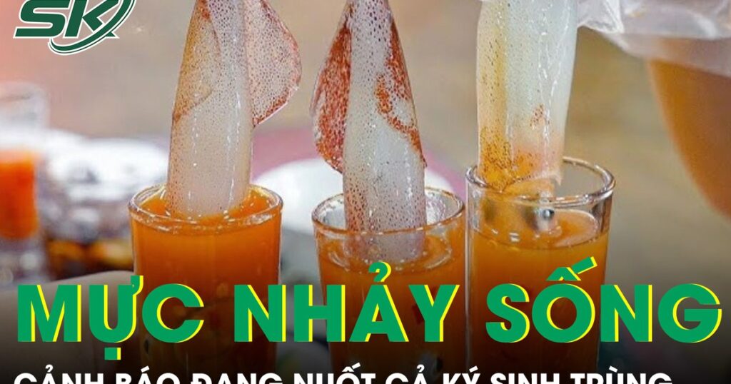 Món ‘mực nhảy sống’ sốt mạng xã hội, chuyên gia cảnh báo đang nuốt cả ký sinh trùng