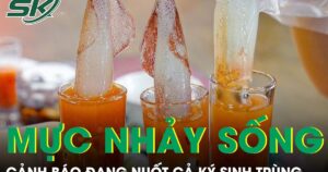 Món ‘mực nhảy sống’ sốt mạng xã hội, chuyên gia cảnh báo đang nuốt cả ký sinh trùng