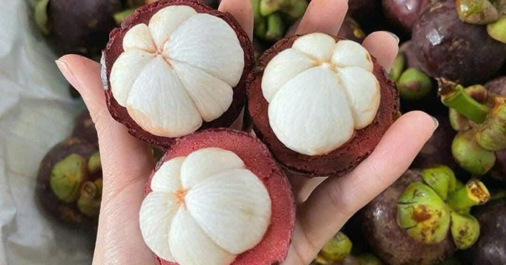 Điều gì xảy ra với cơ thể khi thường xuyên ăn măng cụt?