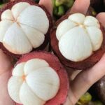 Điều gì xảy ra với cơ thể khi thường xuyên ăn măng cụt?