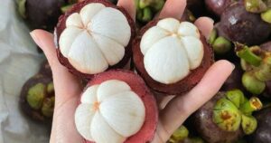 Điều gì xảy ra với cơ thể khi thường xuyên ăn măng cụt?