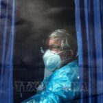 Hà Lan cách ly 12 nhân viên y tế do không tuân thủ quy trình chăm sóc bệnh nhân nhiễm virus Hanta