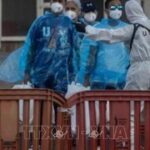 Virus Hanta: EU tăng cường chia sẻ thông tin nhằm nâng cao hiệu quả ứng phó