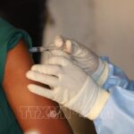 WHO: Nguy cơ bùng phát dịch Ebola trên toàn cầu ở mức thấp