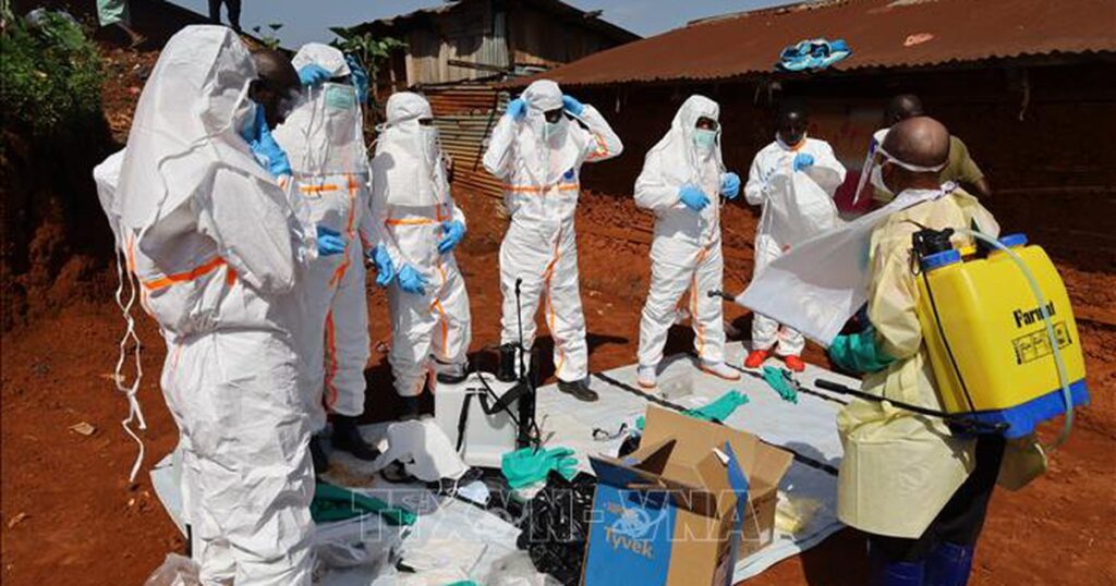 Dịch Ebola: WHO đề xuất thử nghiệm vaccine và thuốc điều trị mới