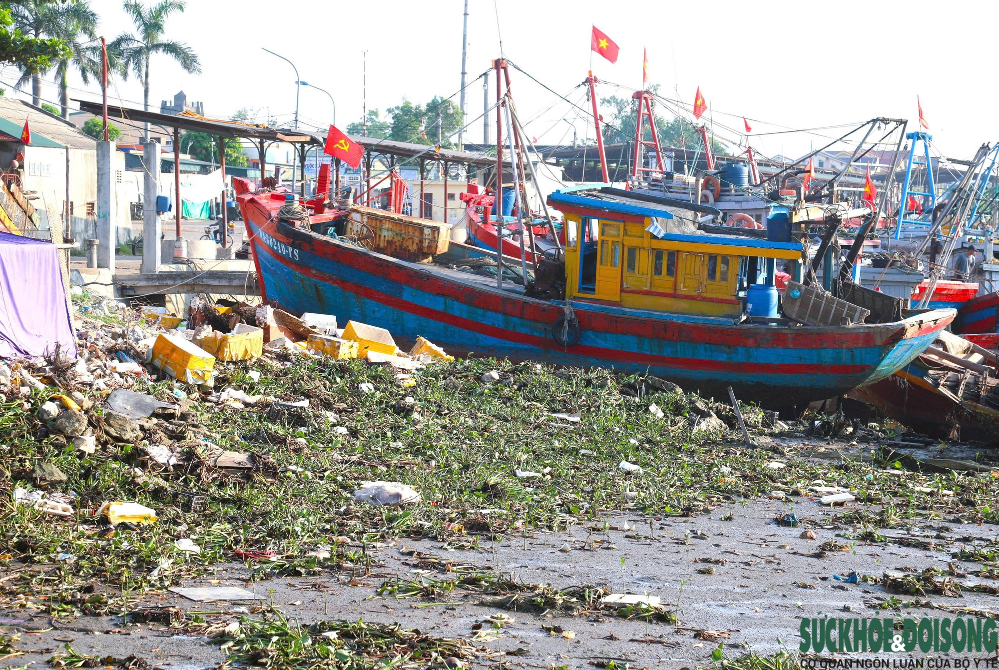 Rác thải bủa vây khu neo đậu tàu thuyền ven biển Nghệ An- Ảnh 1.