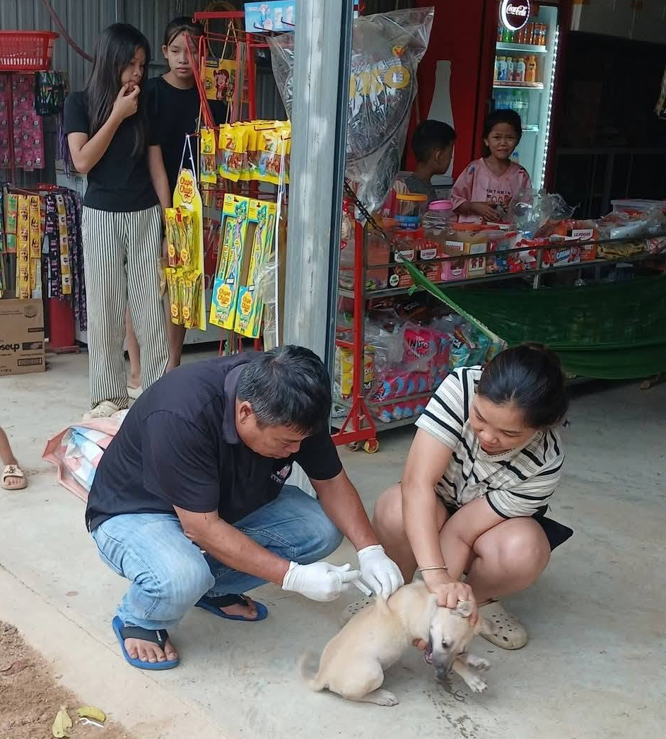 Đừng đánh cược mạng sống bằng thuốc nam khi bị chó cắn- Ảnh 2.