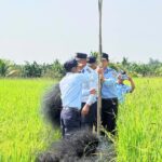Loài chim tạo nên đặc sản nổi tiếng bị giăng nhiều ‘lưới tàng hình’ săn bắt
