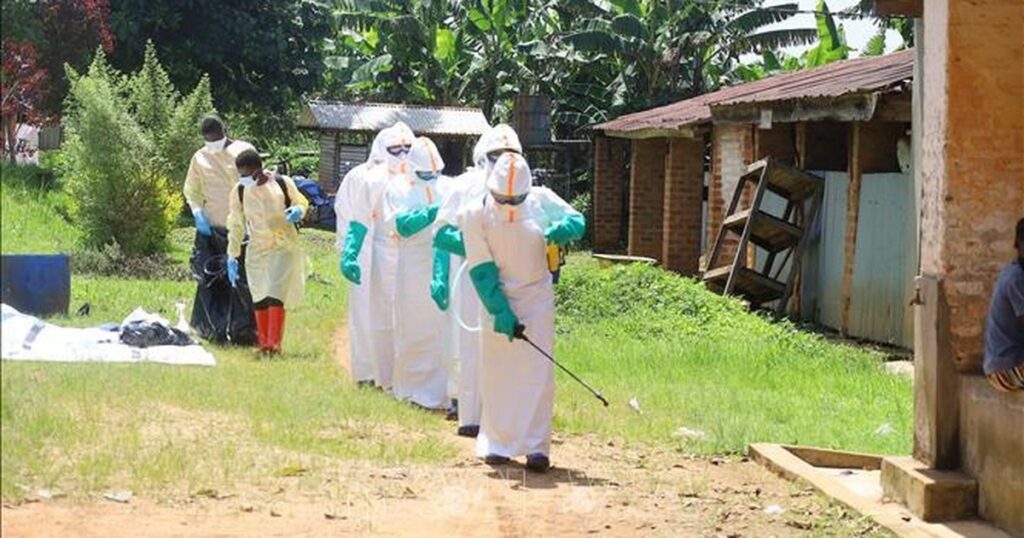 Chuyên gia nói gì về nguy cơ Ebola bùng phát thành đại dịch toàn cầu?