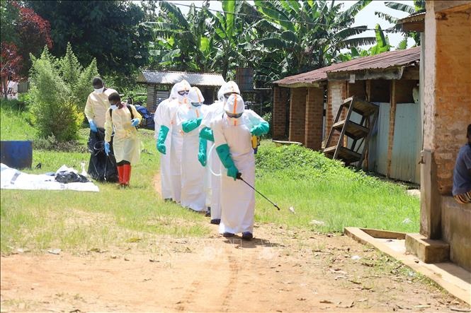 Chuyên gia nói gì về nguy cơ Ebola bùng phát thành đại dịch toàn cầu?- Ảnh 3.