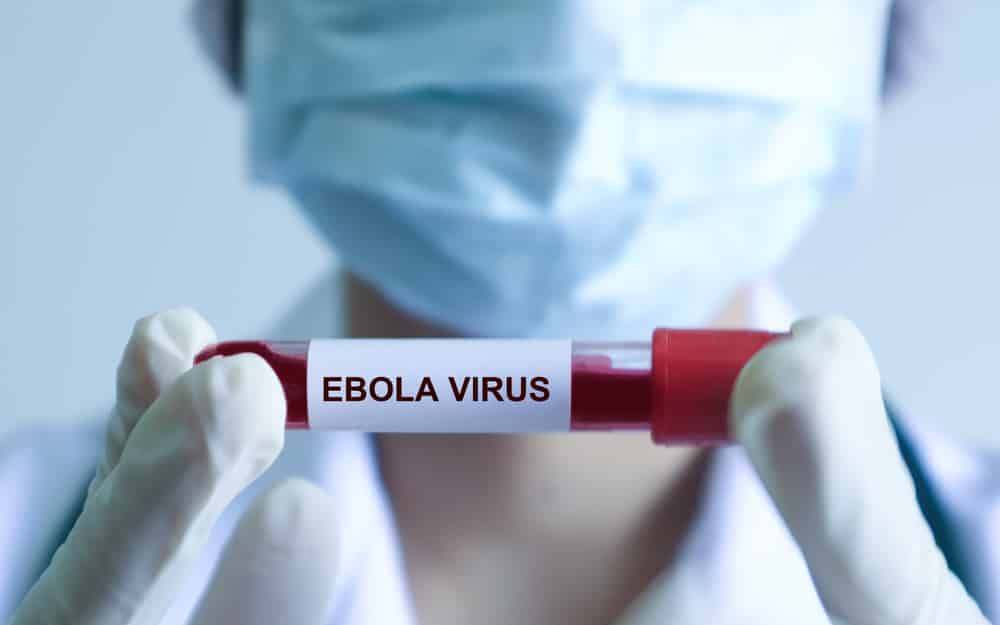 Bộ Y tế chuẩn bị năng lực xét nghiệm, điều trị ứng phó nguy cơ Ebola xâm nhập- Ảnh 3.