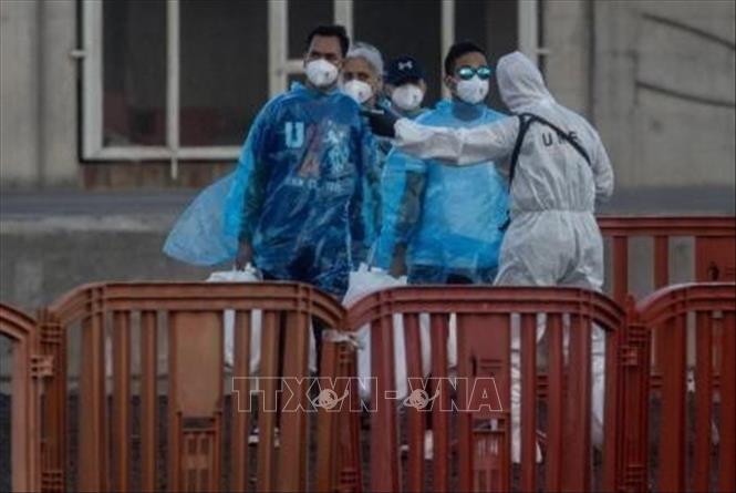 hanta-150526-1778801967740-1778801968882786025627 Virus Hanta: EU tăng cường chia sẻ thông tin nhằm nâng cao hiệu quả ứng phó- Ảnh 1.